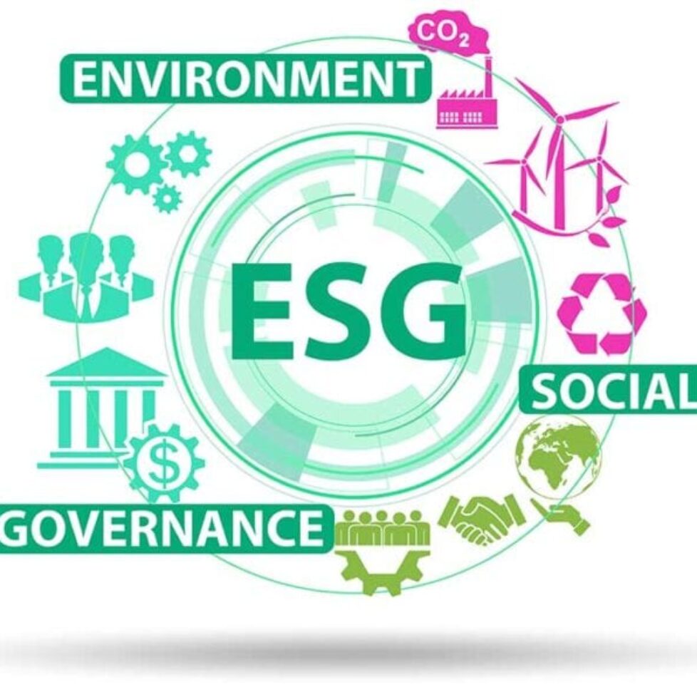 ESG-comes-into-its-own